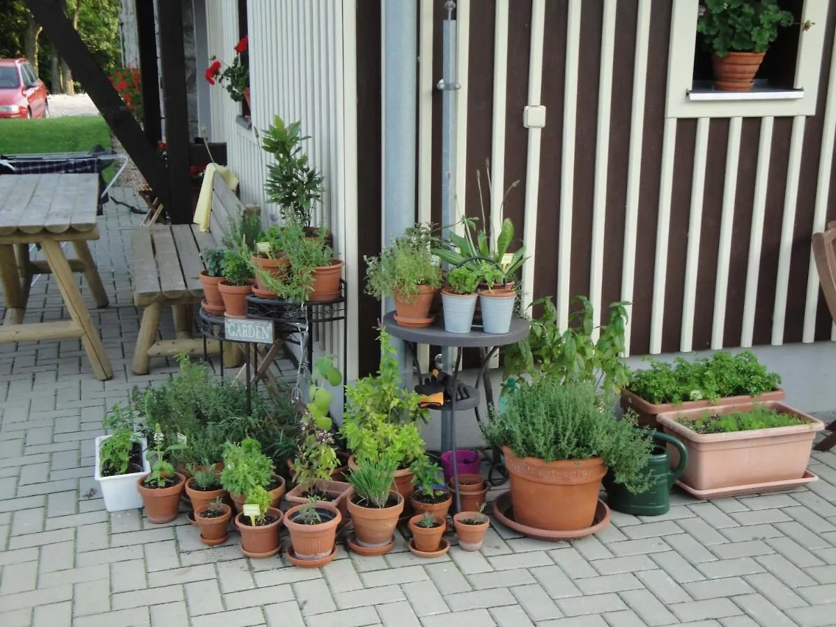 Gasthof Hotel Minerva Špindlerŭv Mlýn